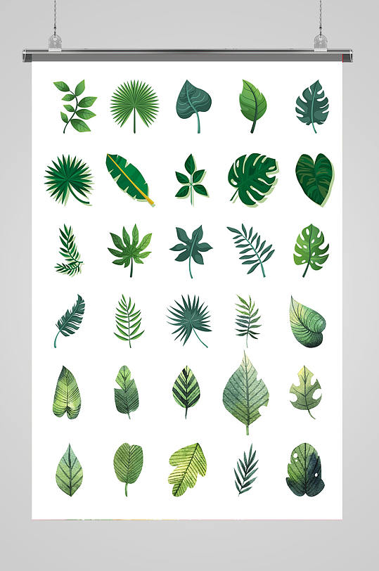 卡通树叶热带树叶元素设计