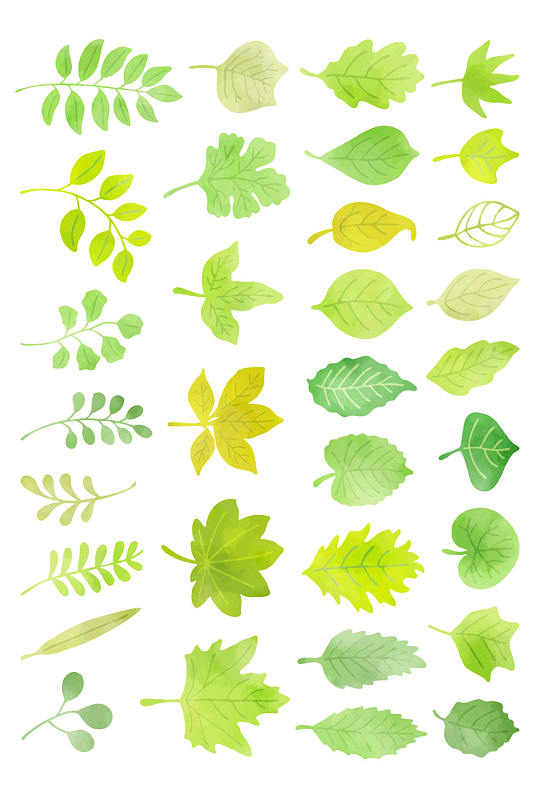 矢量树叶卡通树叶元素