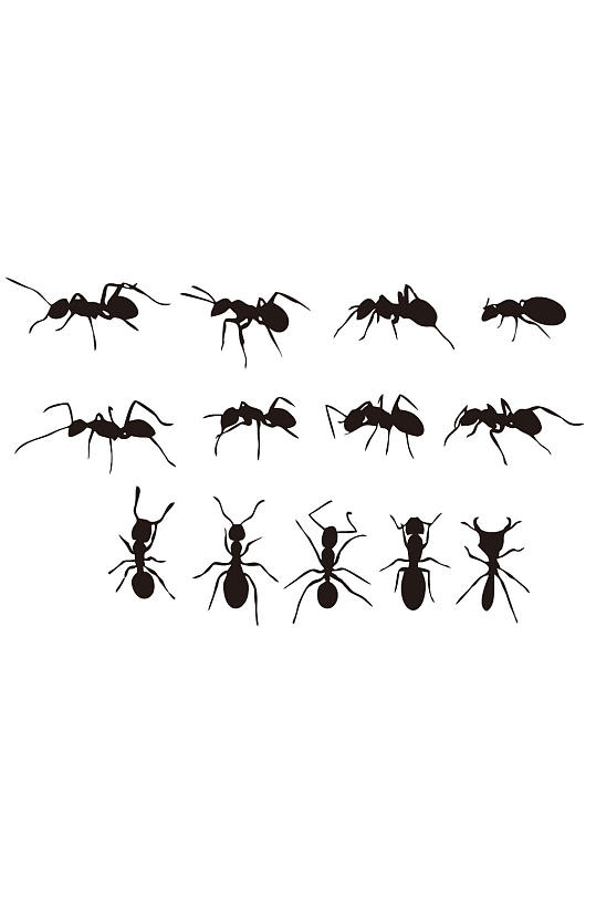 蚂蚁动物剪影元素