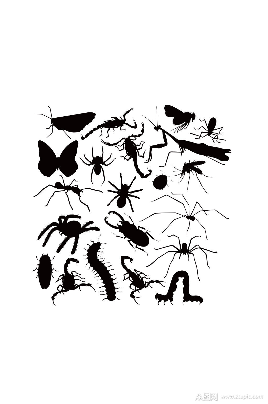 爬行动物蜈蚣蜘蛛剪影