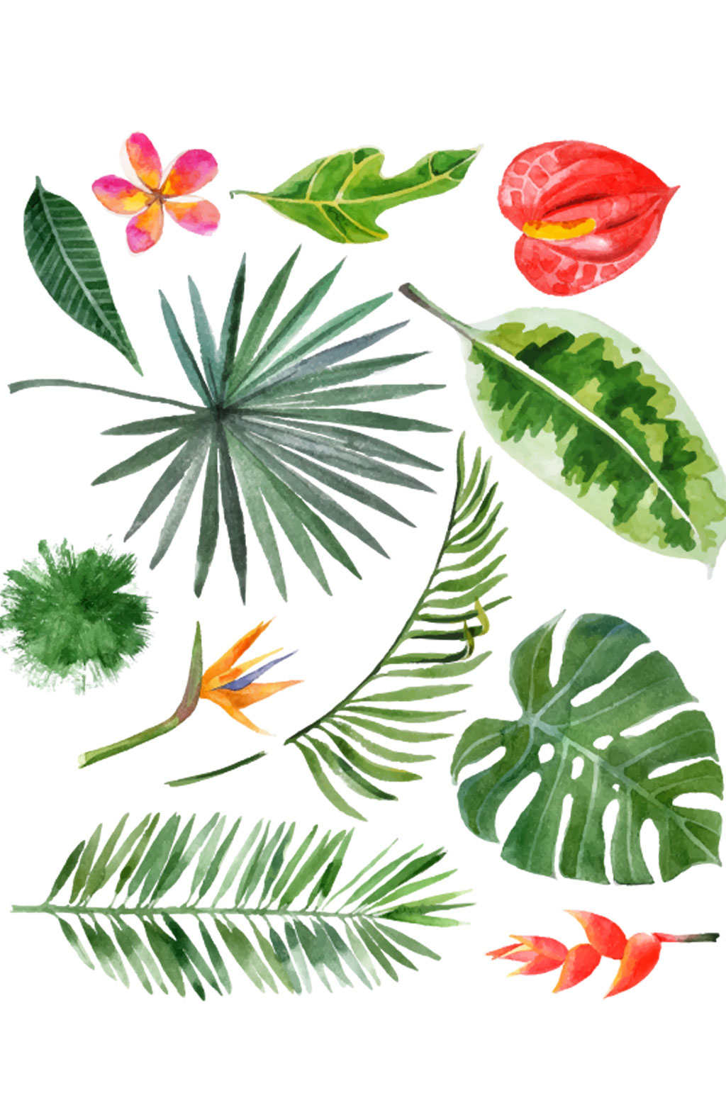 简约手绘热带树叶设计素材