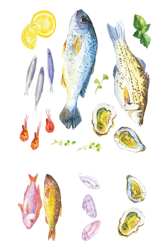 手绘矢量海鲜鱼类生蚝素材设计