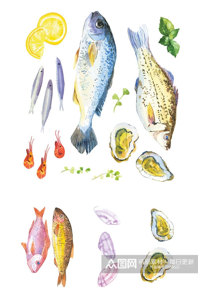 手绘矢量海鲜鱼类生蚝素材设计素材