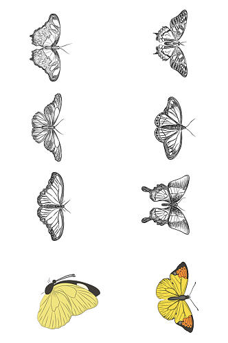 简约平面手绘蝴蝶素材设计
