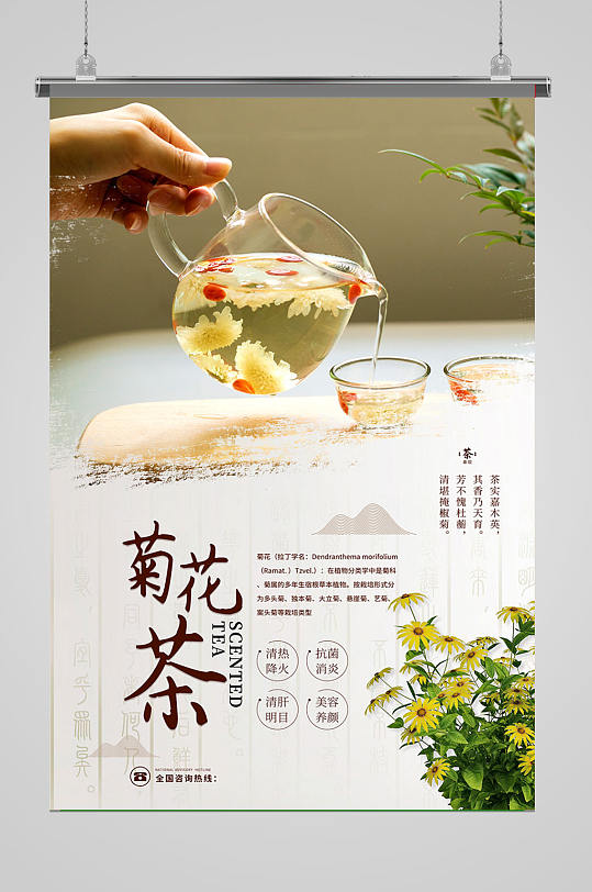 菊花清热下火茶海报设计