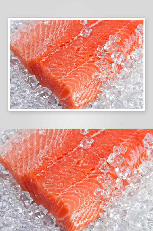 三文鱼高清图片素材-众图网