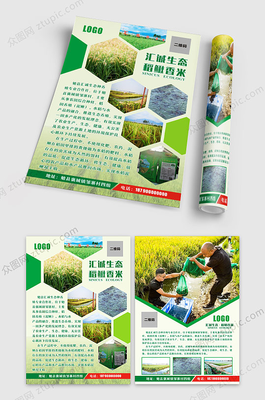 水稻泥鳅宣传彩页-众图网