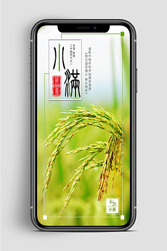 中国传统小满节气手机海报