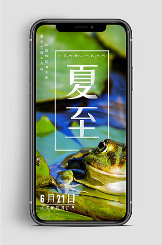 夏至节气中国传统手机海报