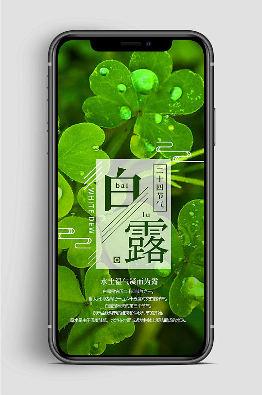 白露节气绿色手机海报