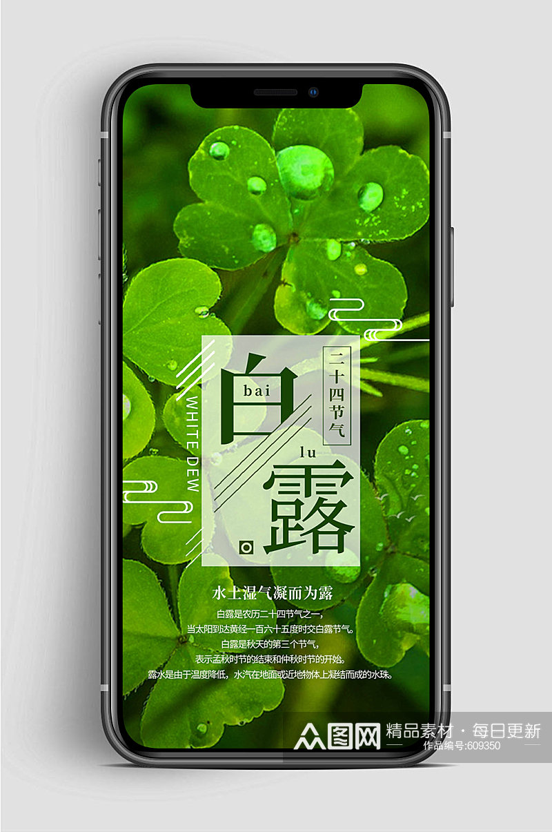 白露节气绿色手机海报素材