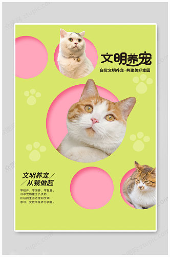 文明养宠卡通猫猫