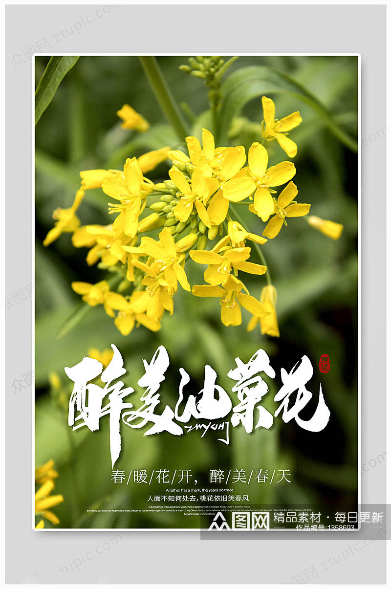 踏青季醉美油菜花素材