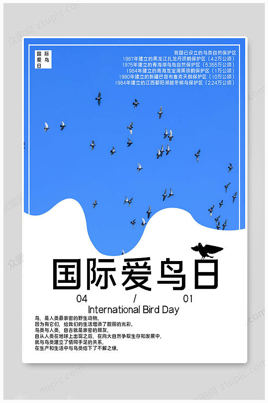 国际爱鸟日蓝色海报