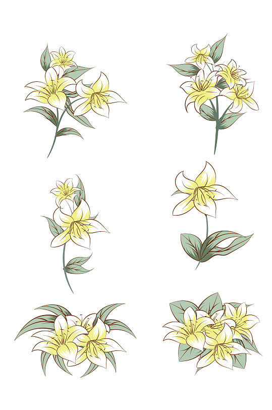 水彩植物百合花图案