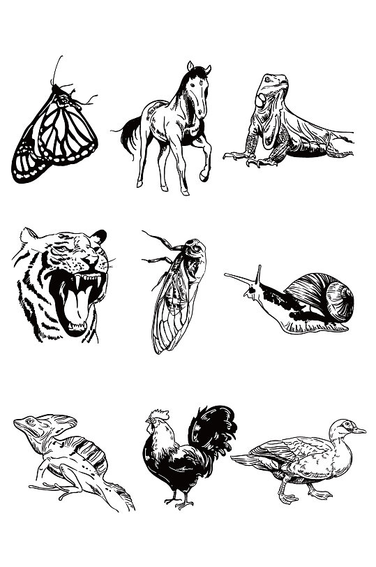 素描卡通动物素材