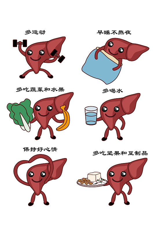 保护肝脏素材图片