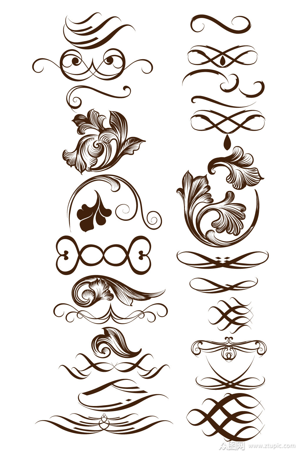 欧式植物花卉花纹图案