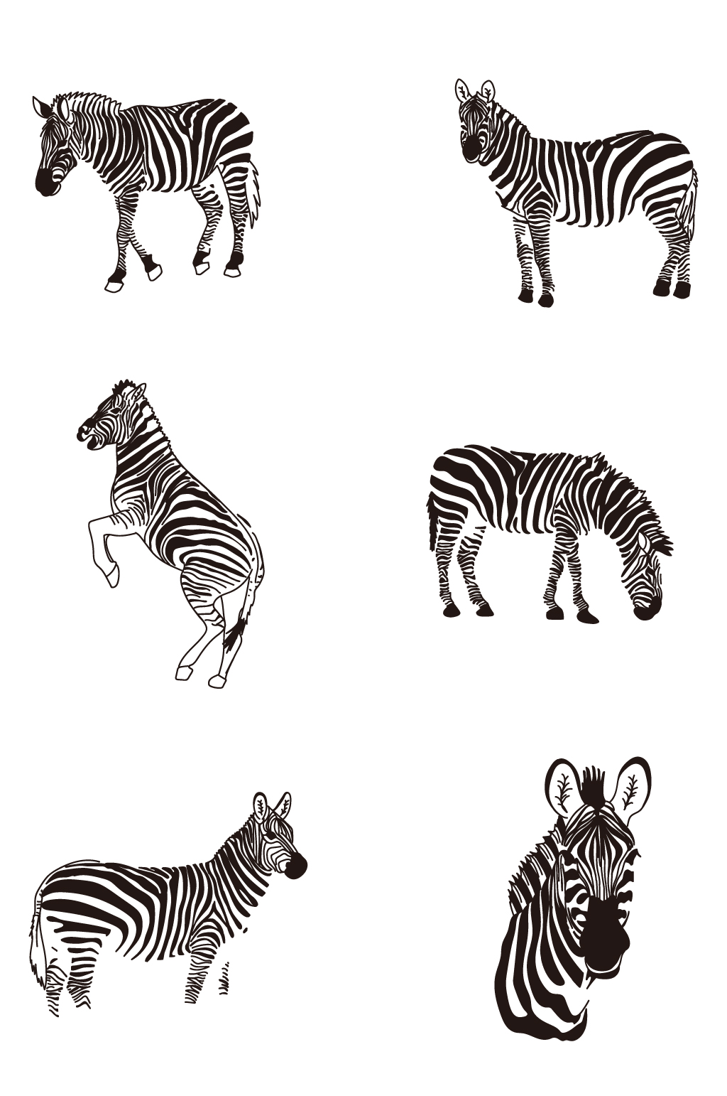动物手绘线稿图片