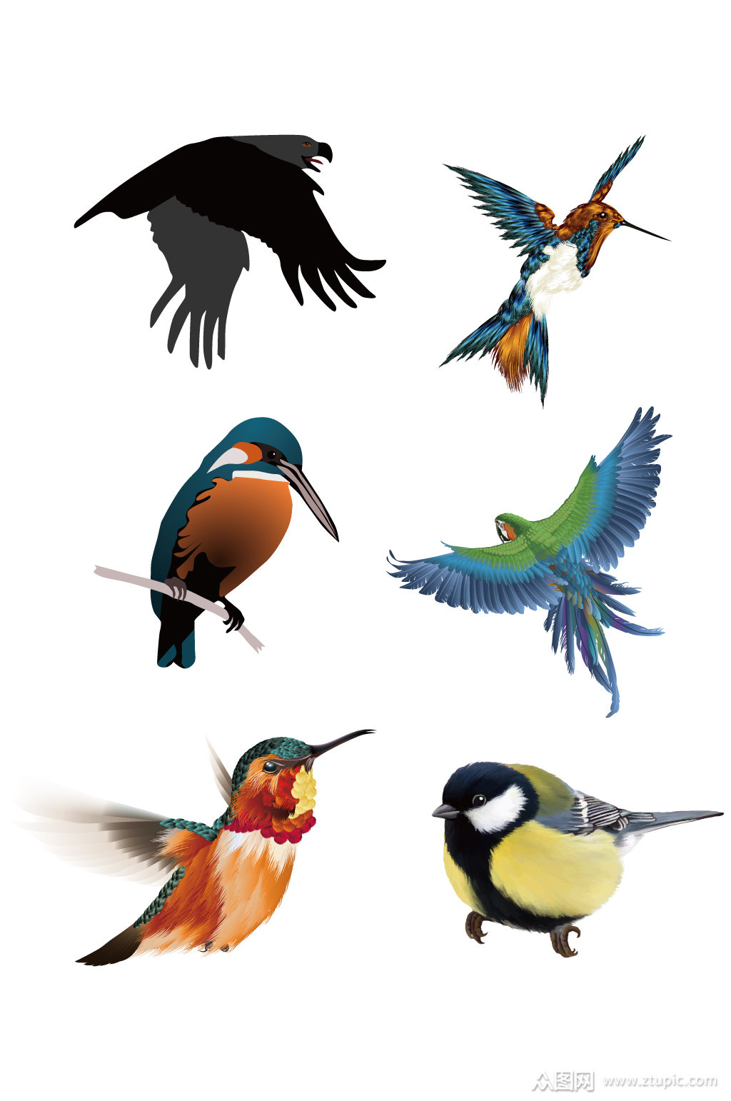 手绘鸟素材大集合