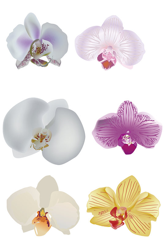 手绘花朵蝴蝶花素材