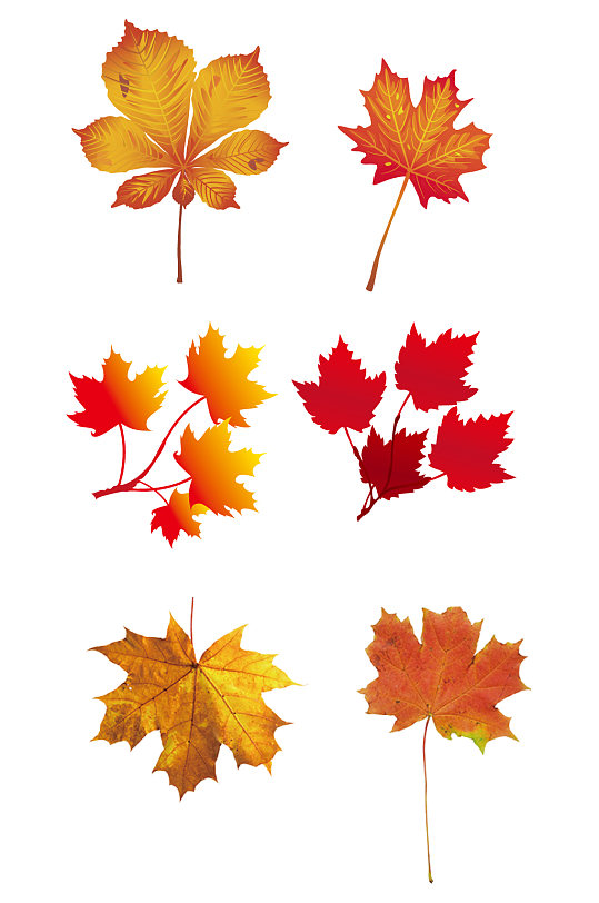 秋天秋叶图片-秋天秋叶素材下载-众图网