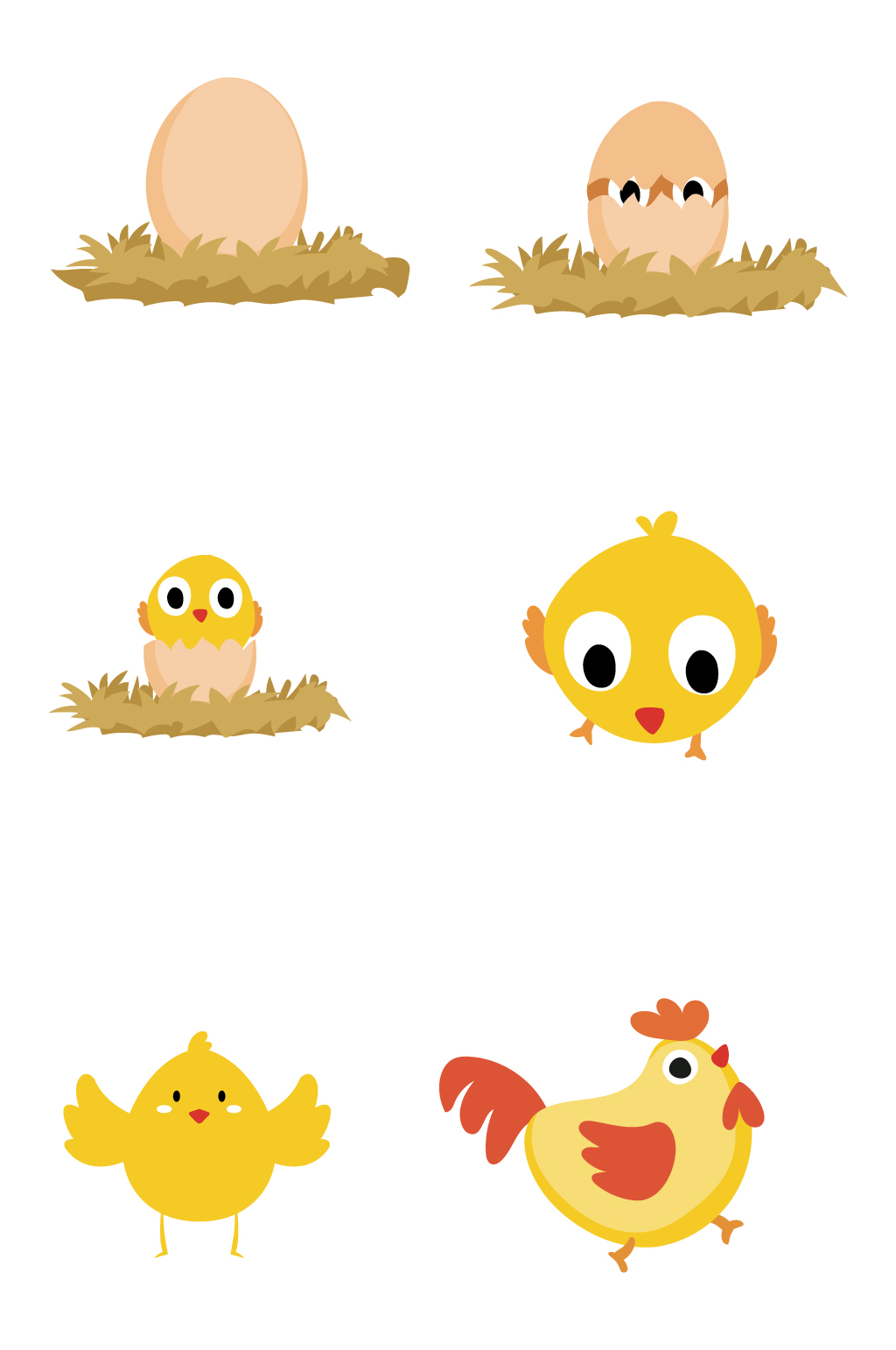 小鸡孵化过程绘画图片图片