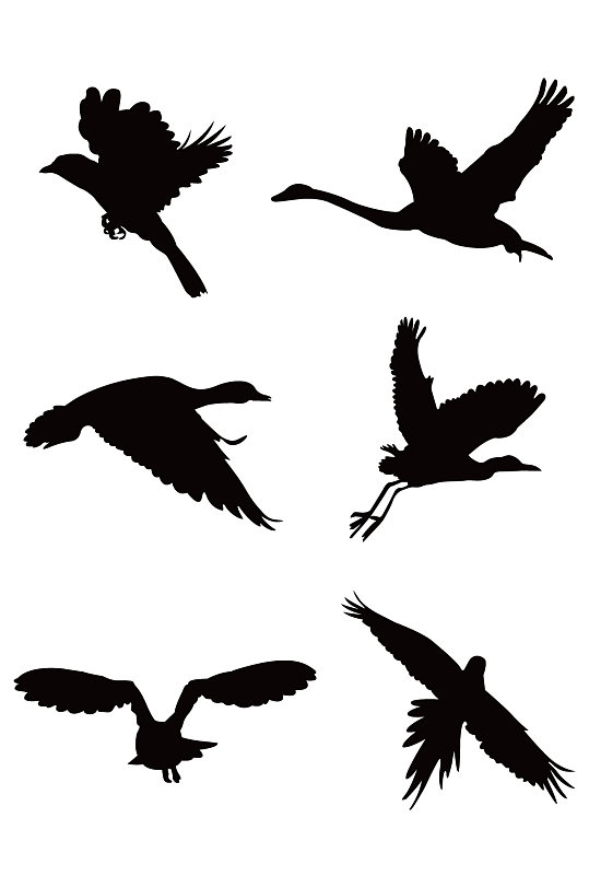 动物鸟剪影飞翔动态简约