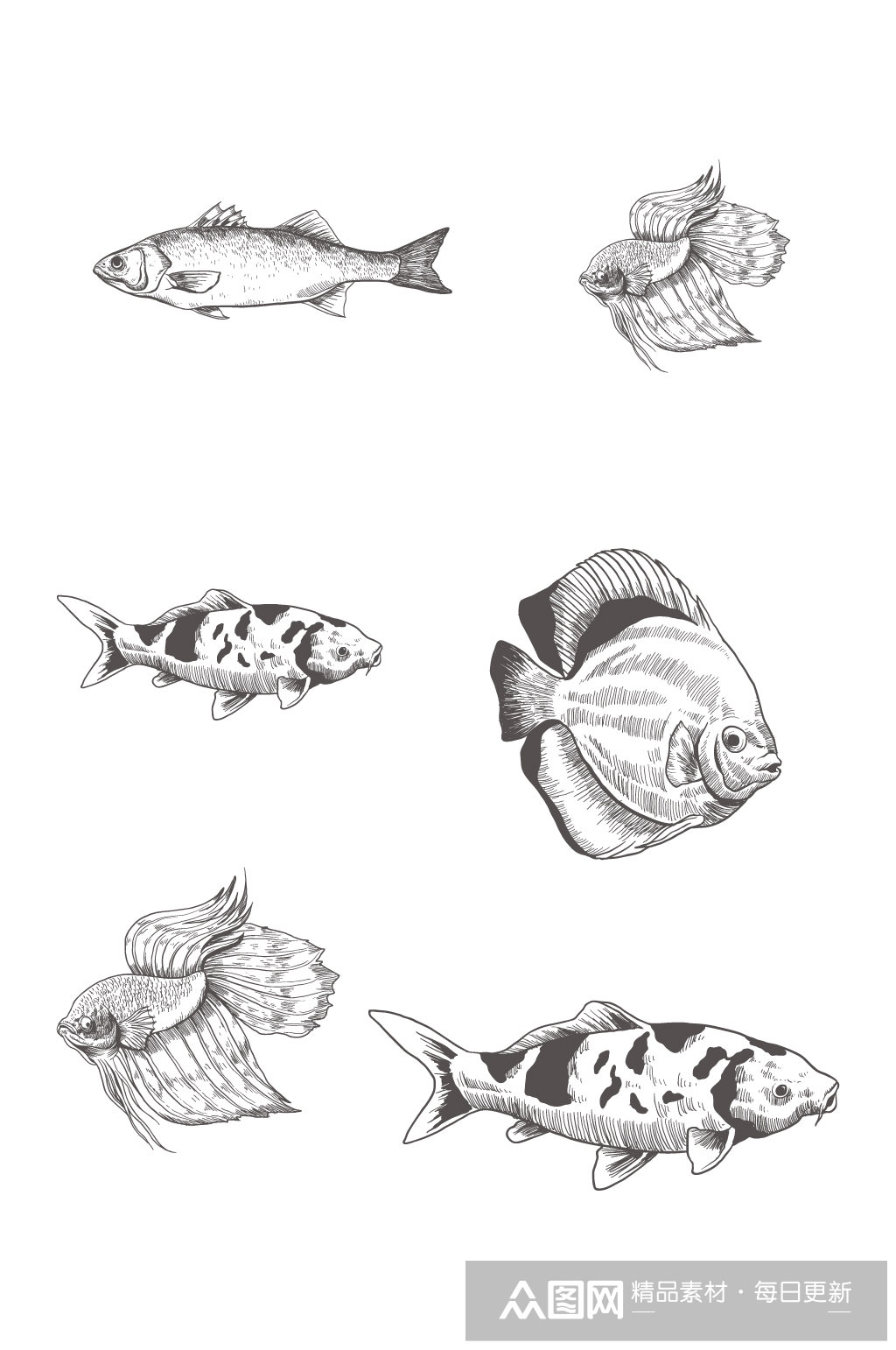 鱼类素描简笔画合集