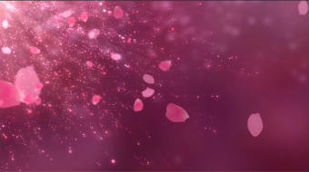 浪漫粉红花瓣视频背景-众图网