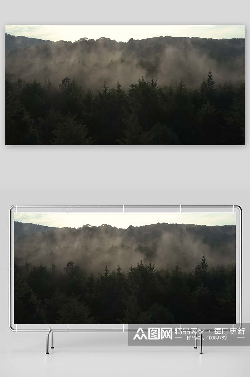 空中游览穿越雾气缭绕的森林视频素材