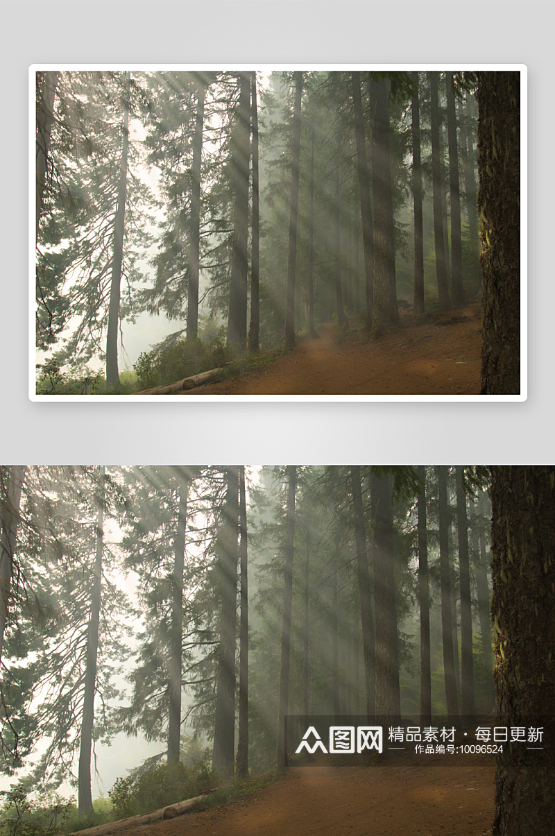 森林阳光素材图片素材