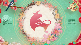 清新雅致贺新春明星拜年视频模板-众图网