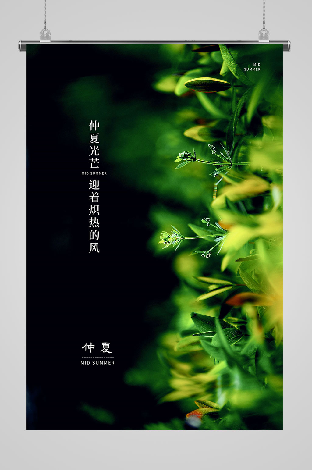 仲夏节气仲夏之夜