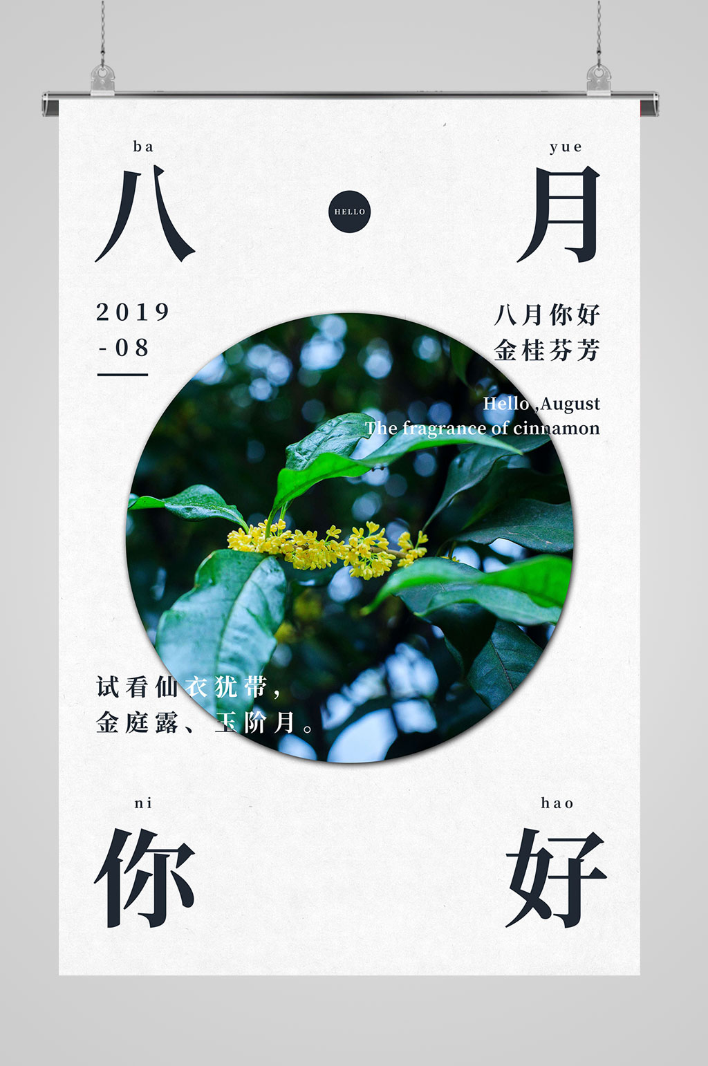 8月你好创意海报素材