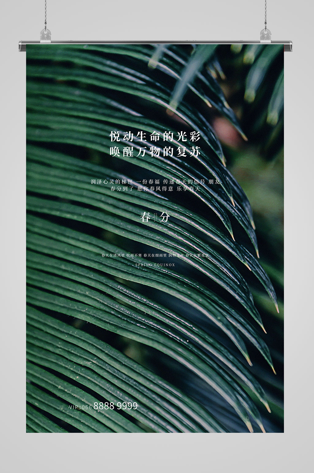 春分节气万物复苏素材
