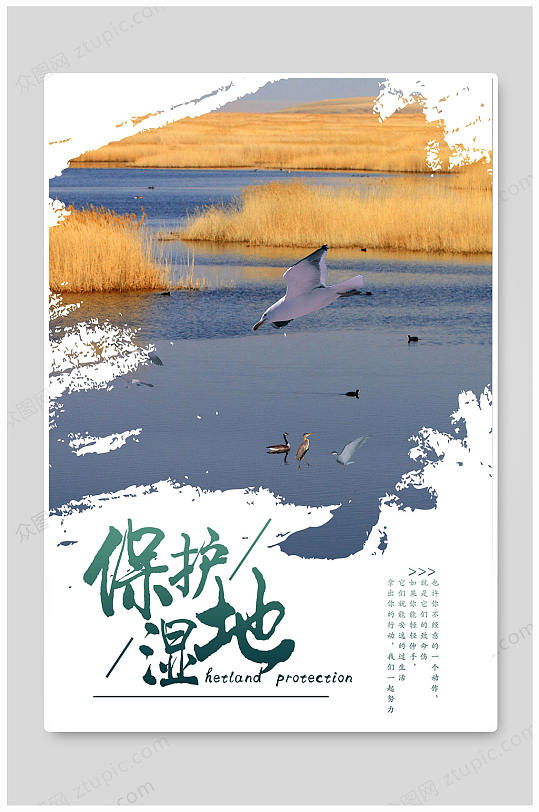 保护湿地世界湿地日