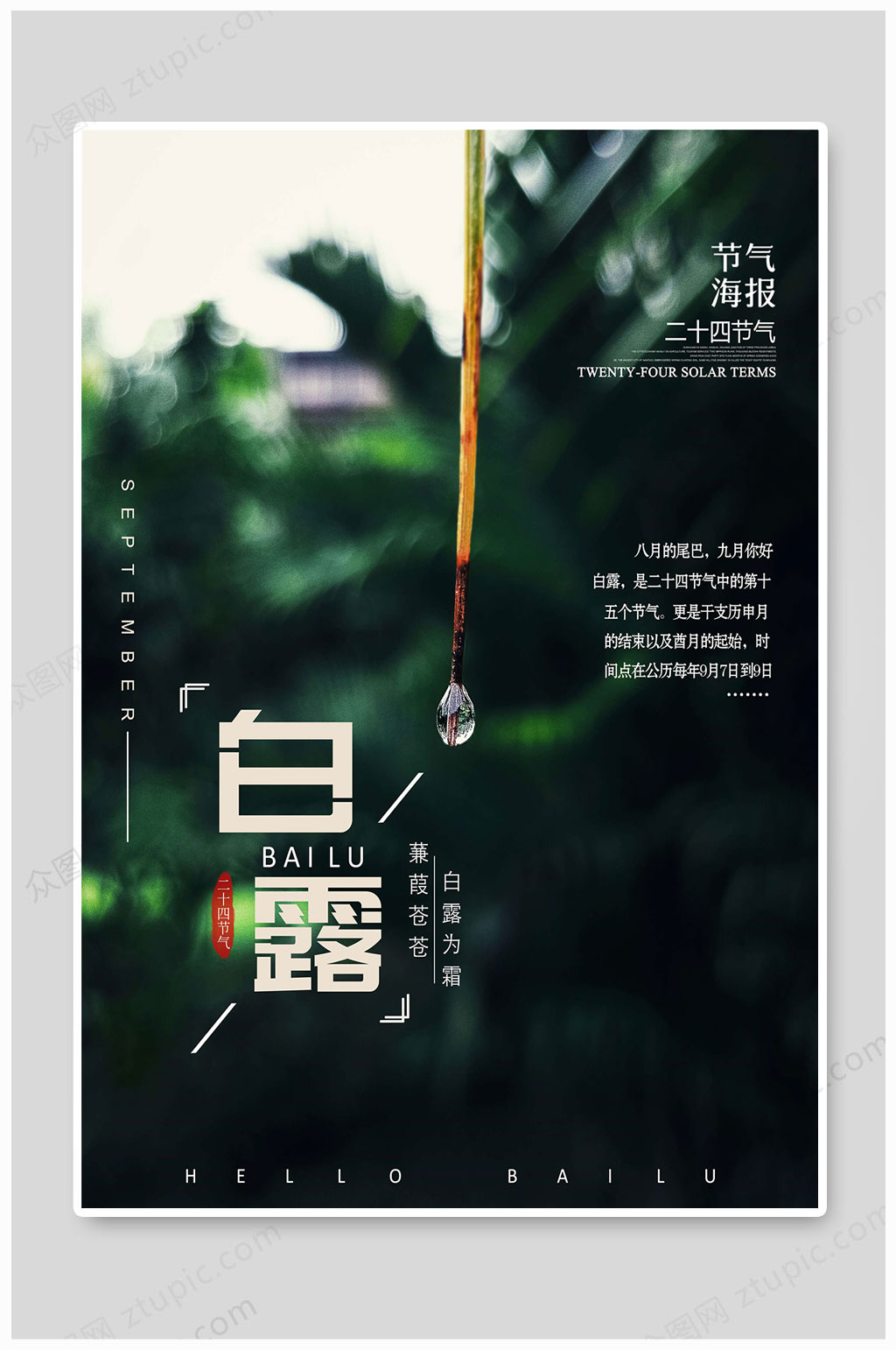 白露节气高端地产海报素材