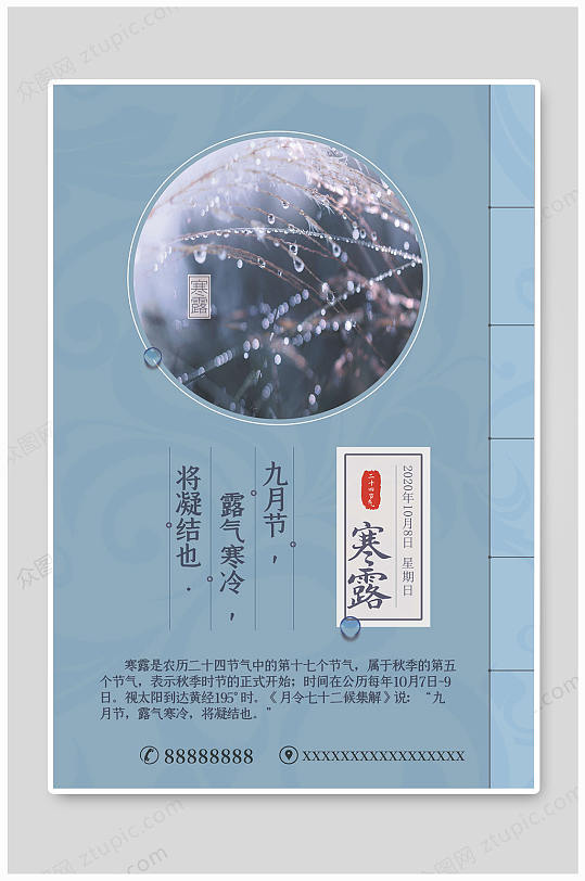 寒露节气节日海报