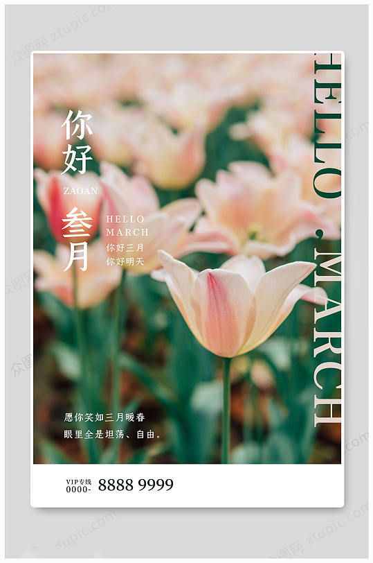 3月你好你好明天三月你好 三月你好海报综合排列热门下载最新上传收起