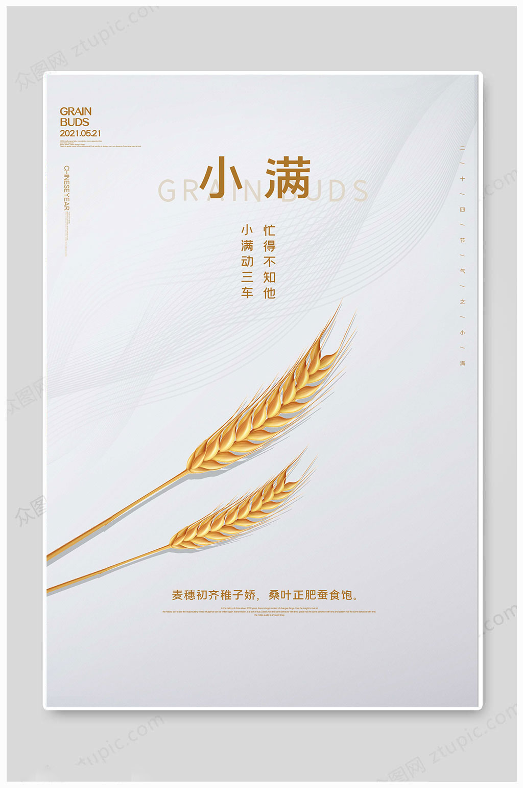 大气小满节气海报素材