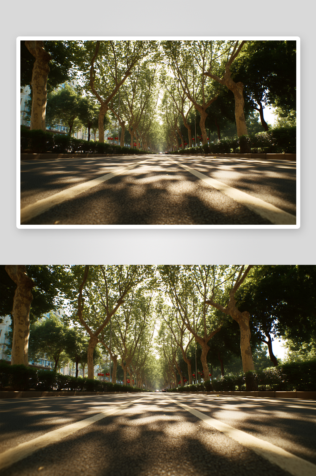 林荫下的光影斑驳道路素材