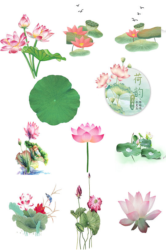 荷花矢量免抠素材