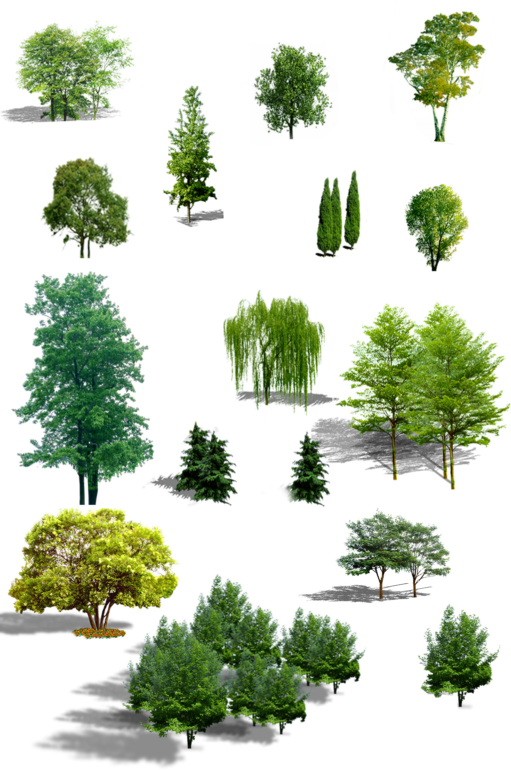 园林绿化植物图片素材