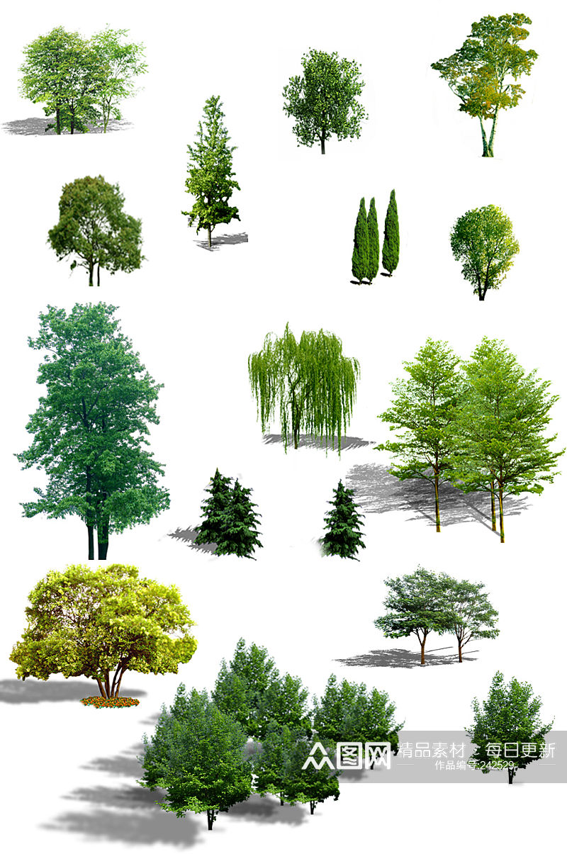 园林绿化植物图片素材