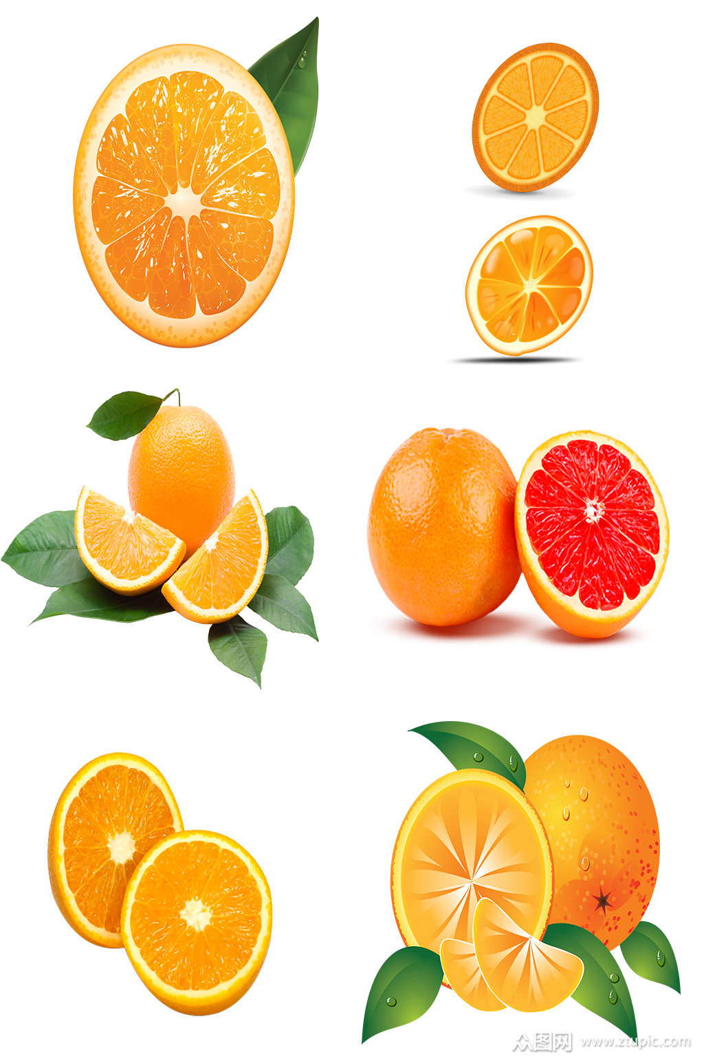 精美橘子免抠素材