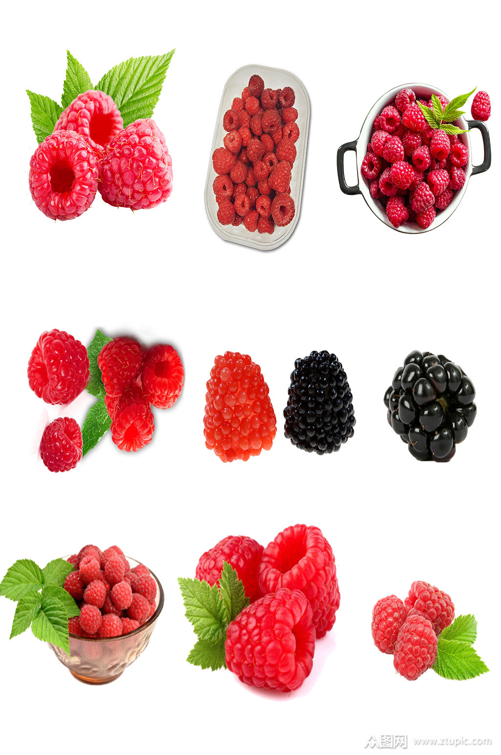 高清水果树莓桑葚