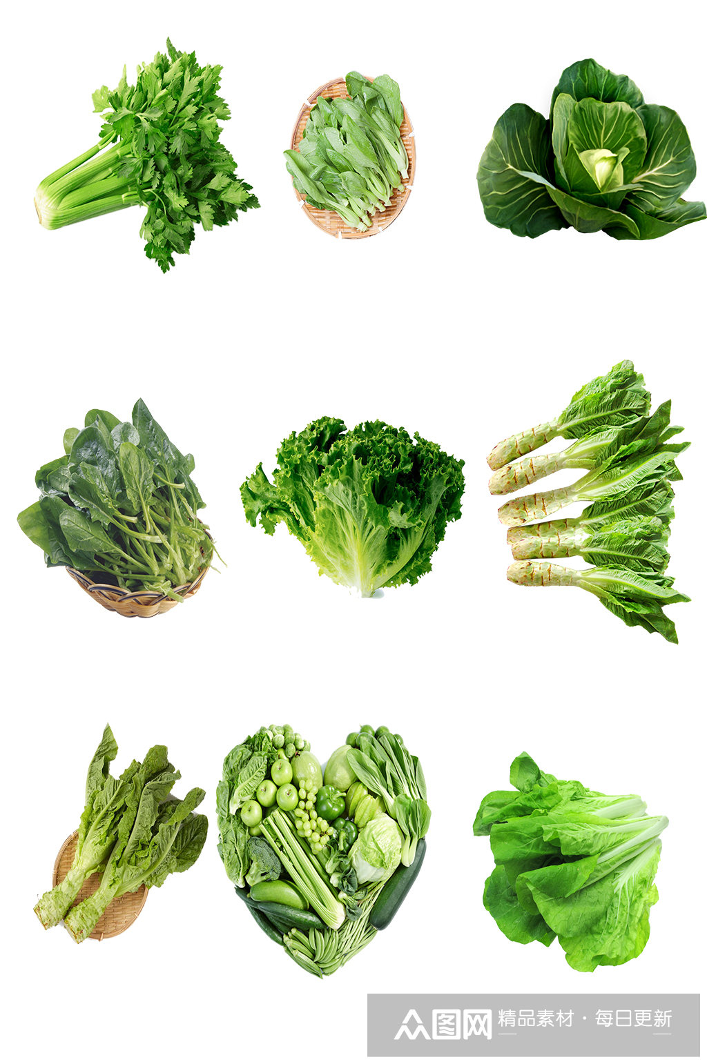 新鲜青菜素材图片