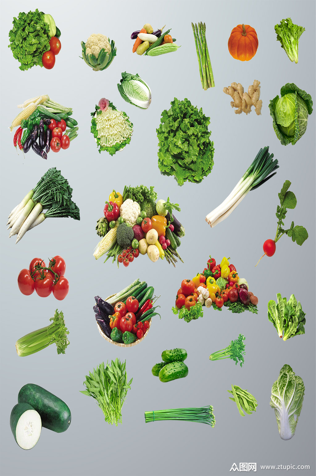各式各样蔬菜图片素材