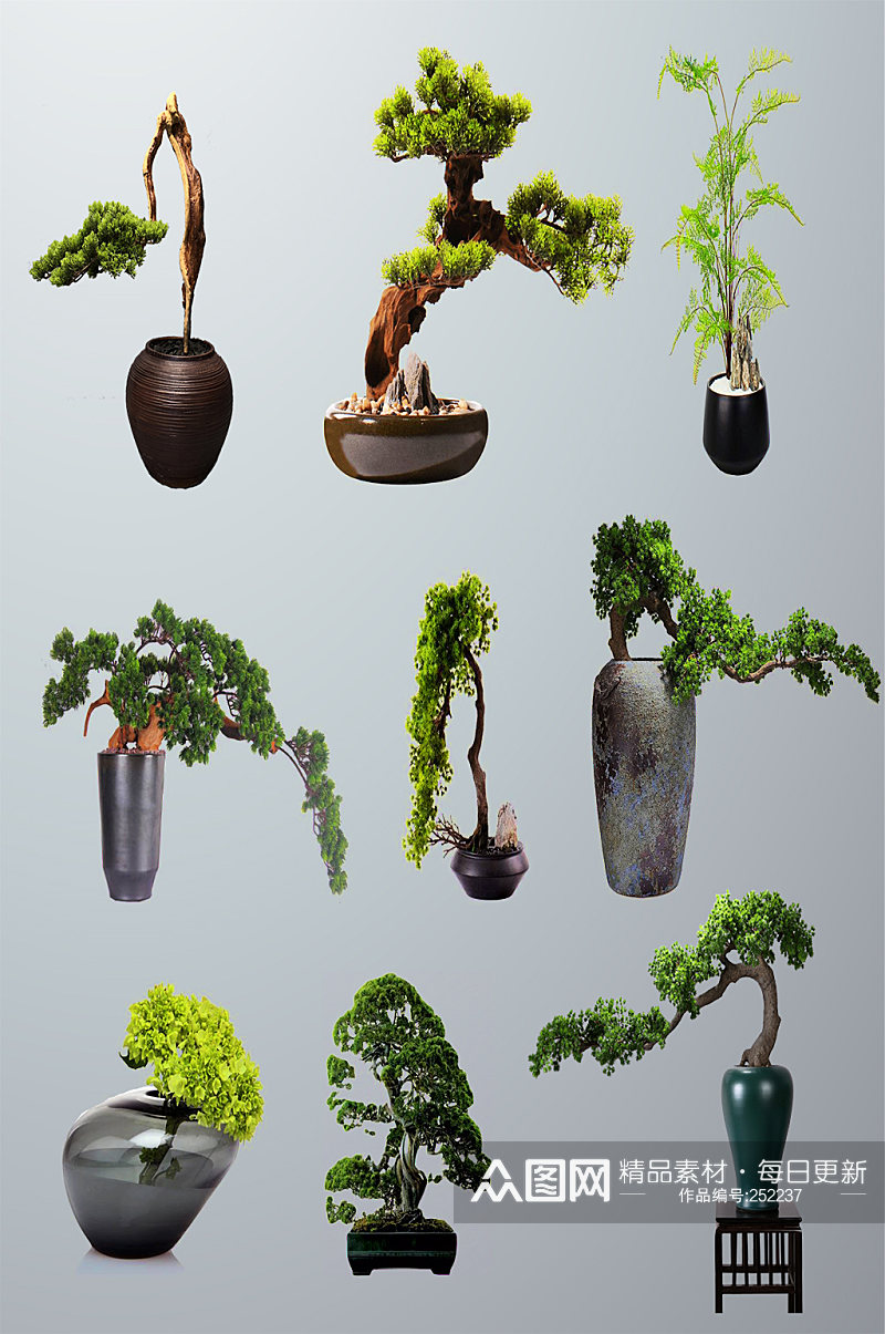 绿色植物盆栽素材素材